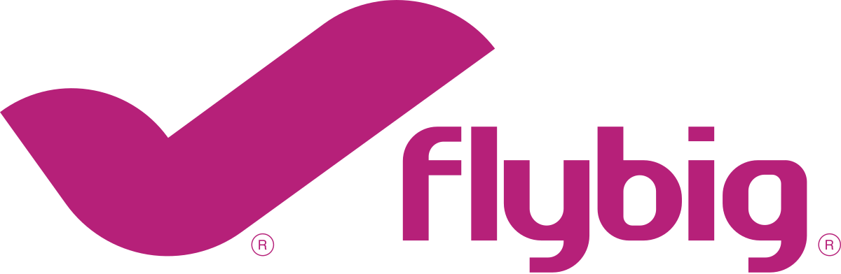 FlyBig Drone training Placement